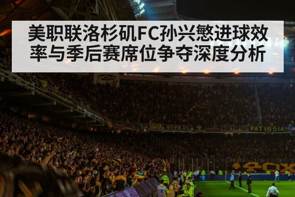 soccer stadium crowd night